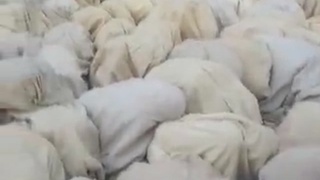 Slave Market Africa