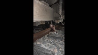 man killed by train