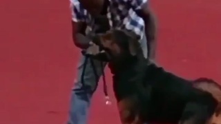 Racist dog