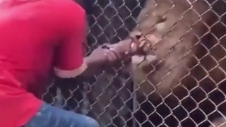 Give Him&hellip;..