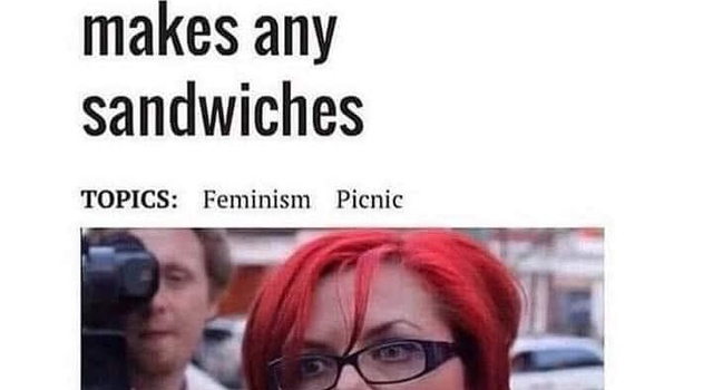 Picnic Is Ruined