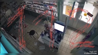 thief of the century