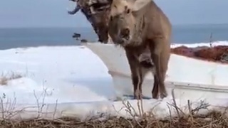 WTF !