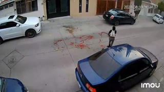 Woman Stabbed To Death On Her Way To Work. Criminal Wanted