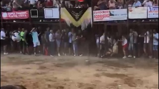 fucking bald man