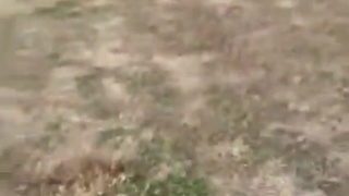 Louisiana…..