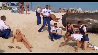 it's not a real whale