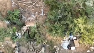 Ukrainian soldiers surrender to Russia