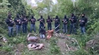 Cartel using pickaxes