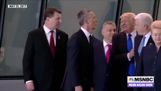 Stable Genius