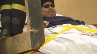 who feeds these fuckers