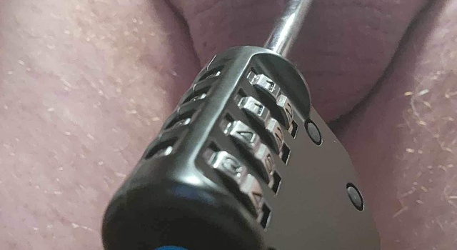 Locked n Cocked