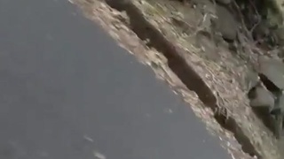 FPV dumbness