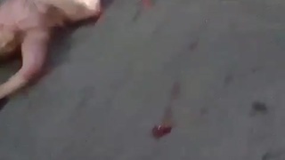 woman was cut in half by a passenger car