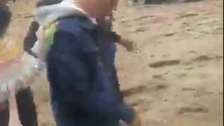 never disturb bulls in peru