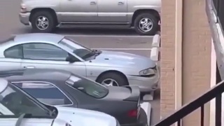 Blacks Gunning Each Other Down