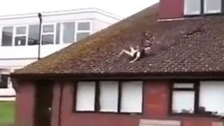 expensive mistake