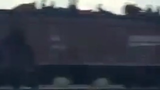 the new gringos...  very welcome!