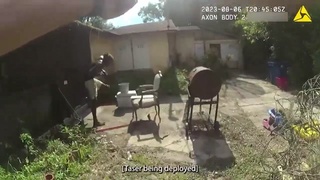 OIS