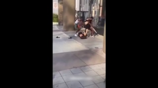 shark bait who ha  ha