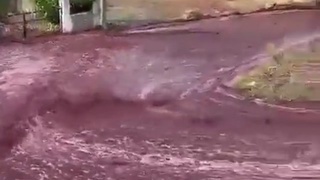 Wine Flood