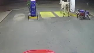 more bullshit