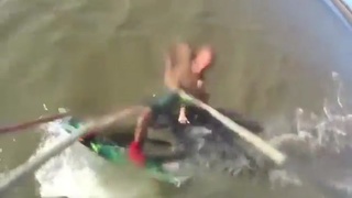 Pitibulkl attacks man while kitesurfing - Argentina