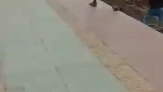 Indians + metal ladders + electricity