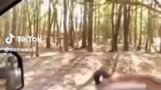 funny as fuck....