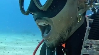Diver&rsquo;s&hellip;..