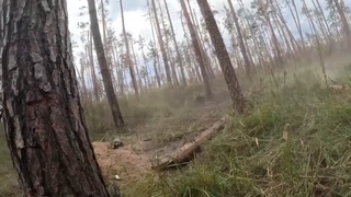 Clearing foxholes in the bloody Kreminna Forests
