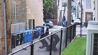 Chicago . Robbery  ?