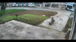 So much for gardening