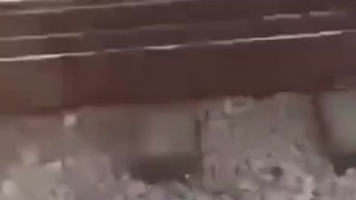 Train butt