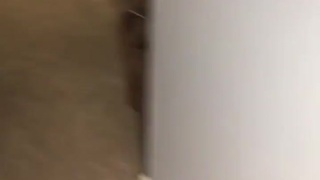 Honey, I came home