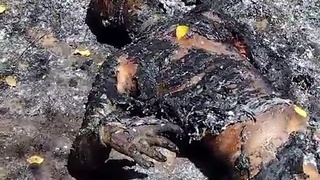 barbecue from brazil