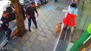 It&rsquo;s A Robbery&hellip;..
