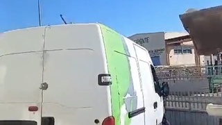 Taco Thieves