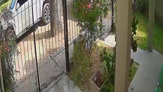the giant biker