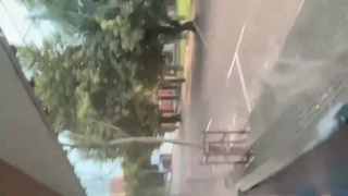 man shot by a mansion caretaker