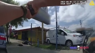 Armed robbery suspect shot through windshield