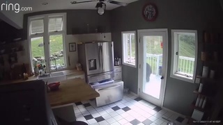 home invasion