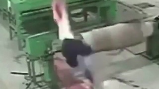 Chinaman goes for a long ride