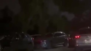 Asians gone wild