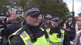Fucking Clowns
