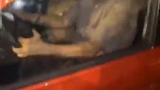 Idiots dancing on old man&rsquo;s car