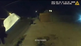 Drive by shooting a cops