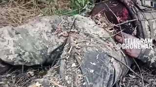 Another failed Ukrainian counter offensive