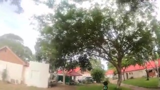 Stubbed His Toe
