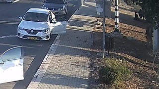 Some More Videos Of Humus